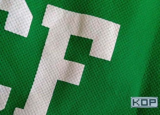Polyester Nicht-Webart Pigment-Färbung Öko-Lösungsmittel Tinte Druckmattsegeltuch
